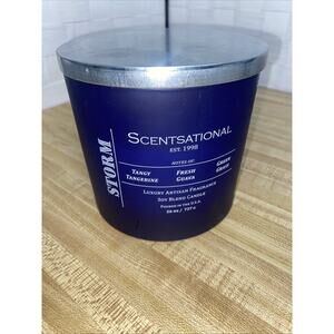 Scentsational Storm No. 6 Scented Luxury Natural Organic Soy Candle 26oz Used
